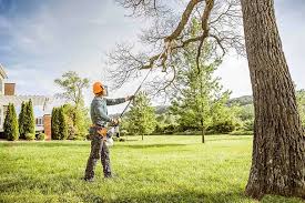 Best Lawn Disease Treatment  in Madera Acres, CA