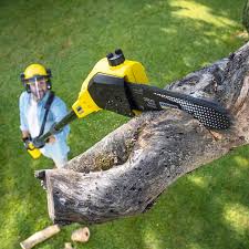 Best Soil Testing and Treatment  in Madera Acres, CA